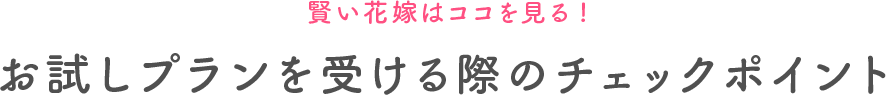 賢い花嫁はココを見る!お試しプランを受ける際のチェックポイント